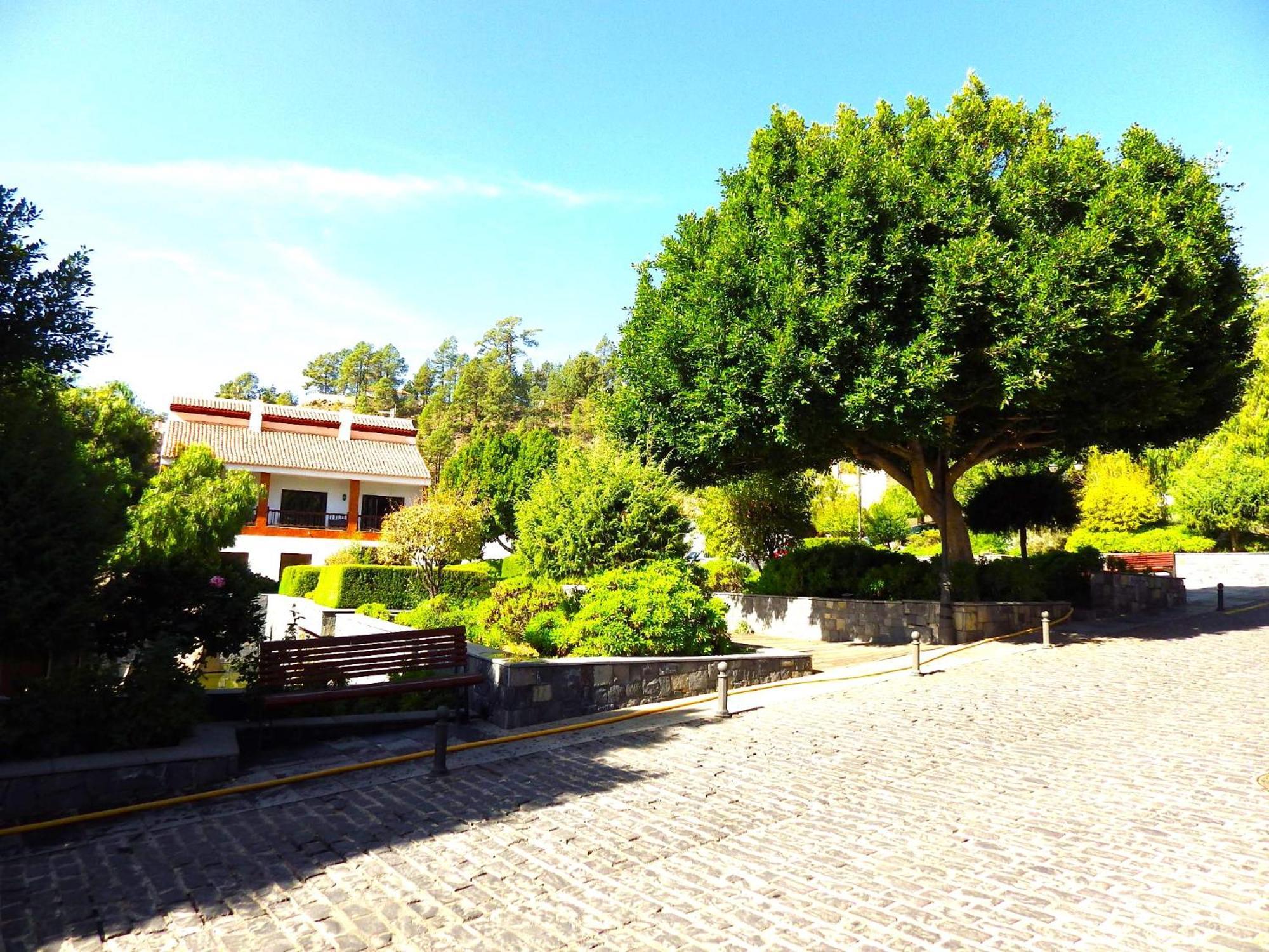 Bed and Breakfast Ziggys Mountain Retreat Vilaflor Exterior foto